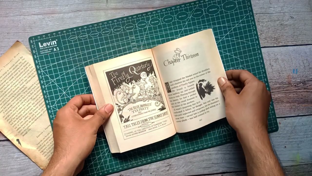 Flip Through: Hugo Pepper by Paul Stewart & Chris Riddell | Illustrated Adventure