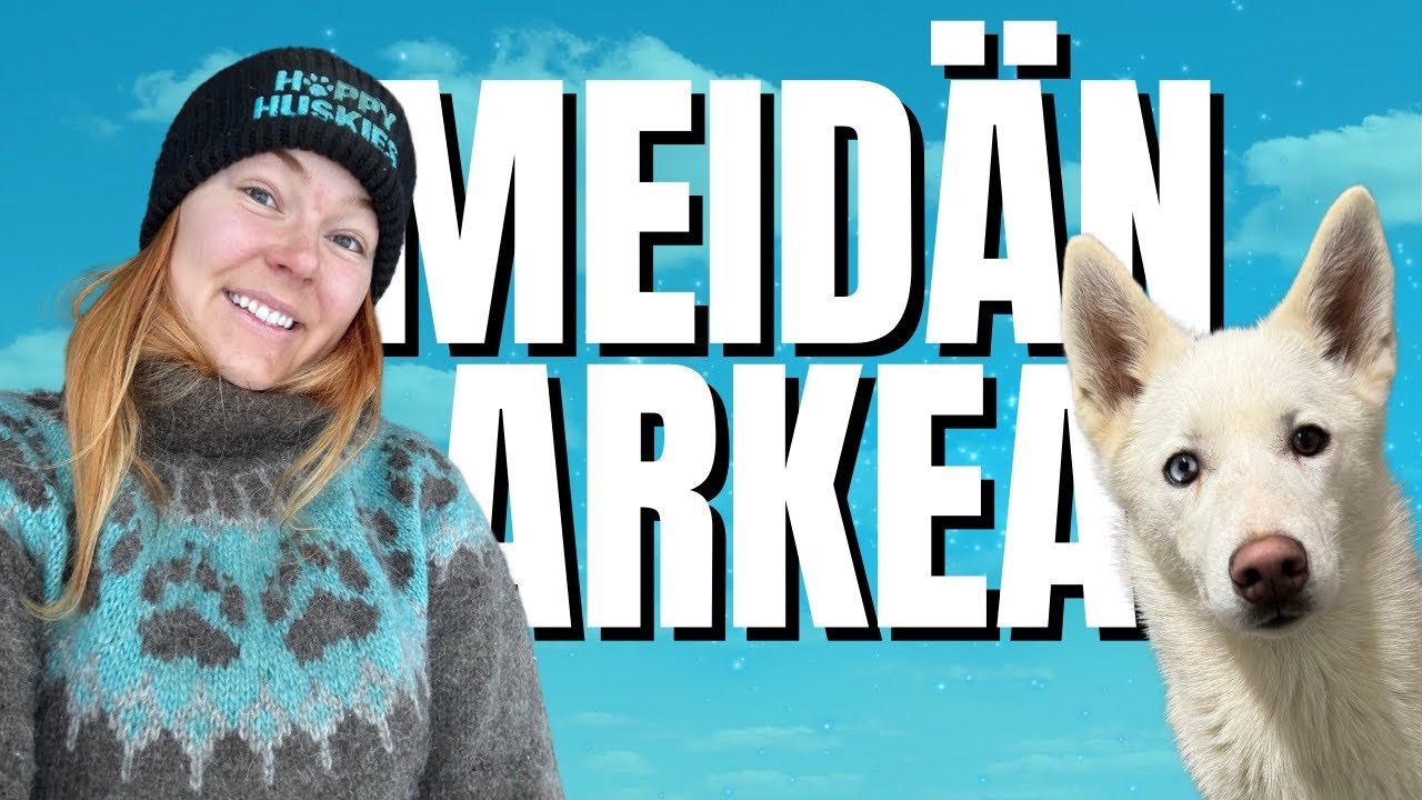 MY WEEK pitkästä aikaa!🐶