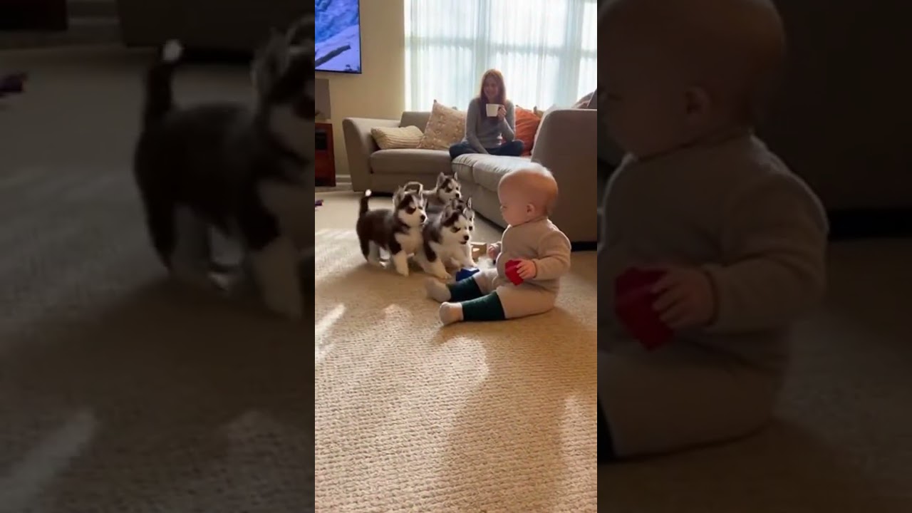 "Puppy chaos meets mom’s discipline 🚨👶🏻❤️ 