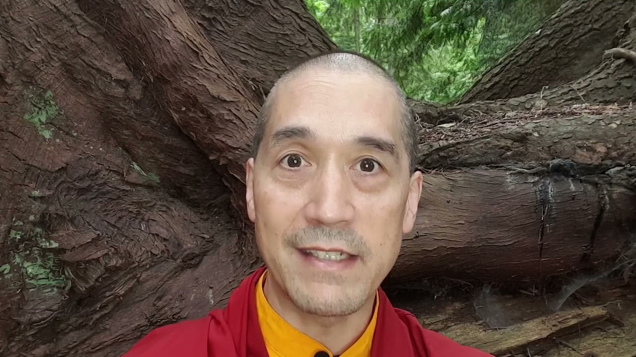 How a Spiritual Mentor Guides a Student to Realise #nonduality  #wisdom  and Final #awakening g