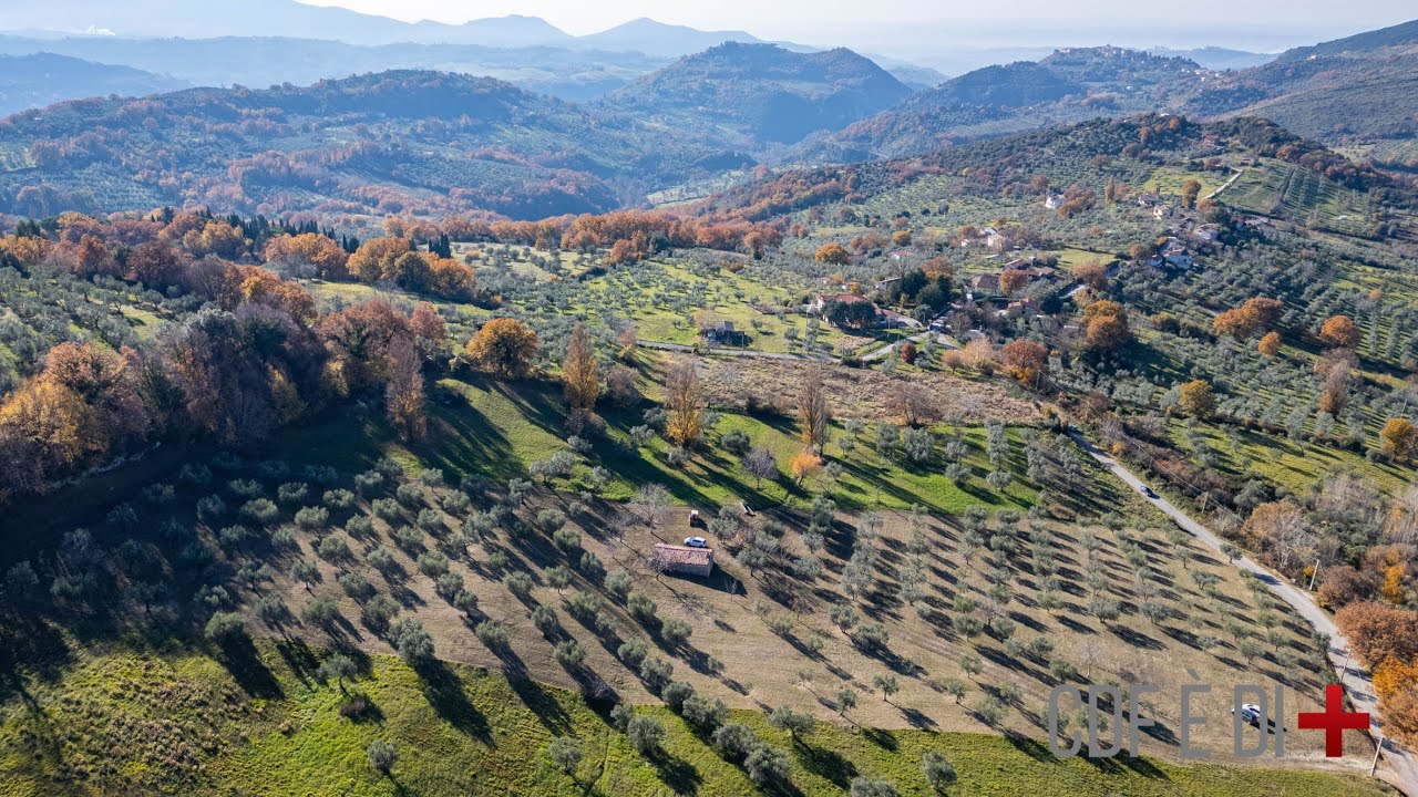 Vista dall'alto | Mompeo (RI), Italy | Antico casale rurale circondato da comodo uliveto