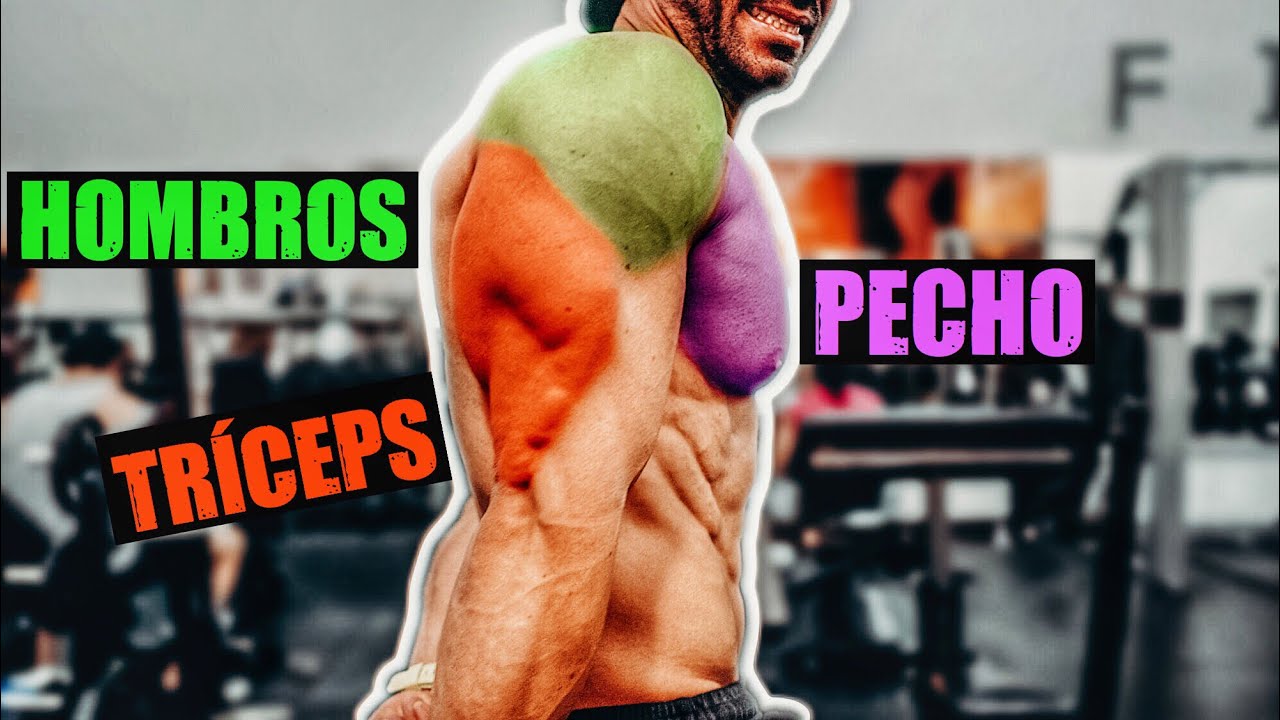 RUTINA DE TREN SUPERIOR 1 (Pecho/Hombro/Tríceps) | GYMTOPZ