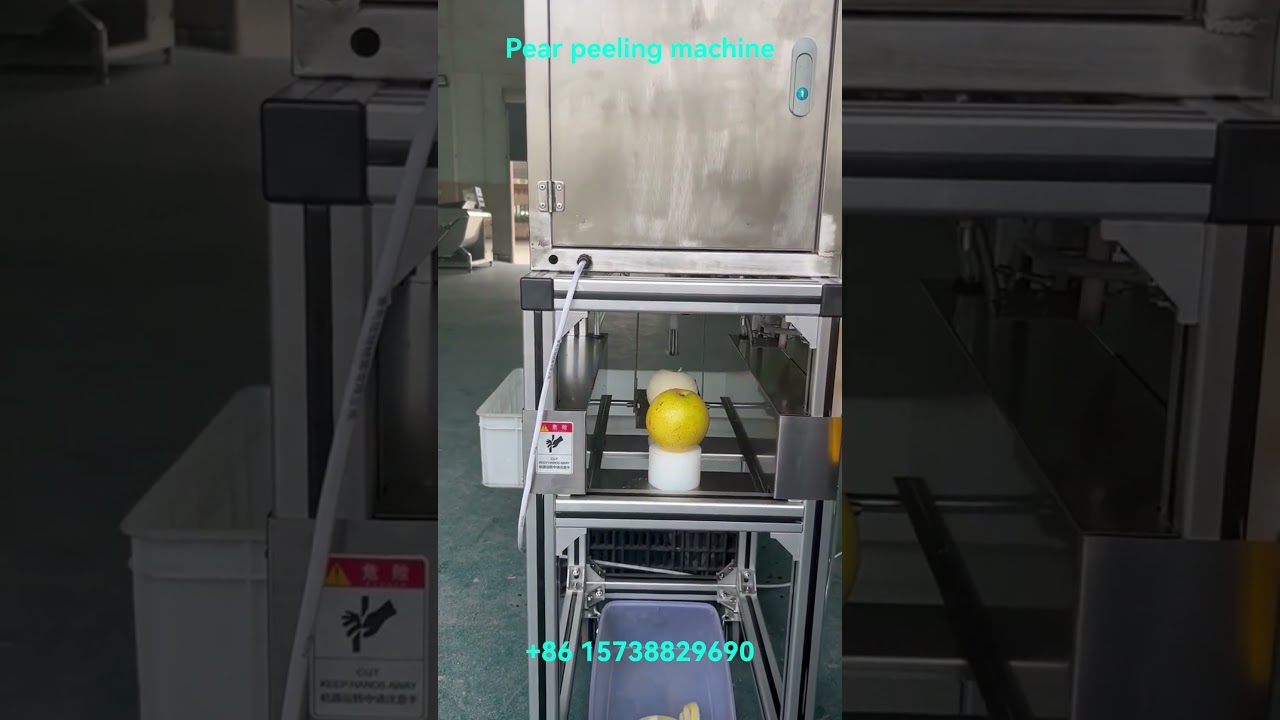 Pear peeling machine