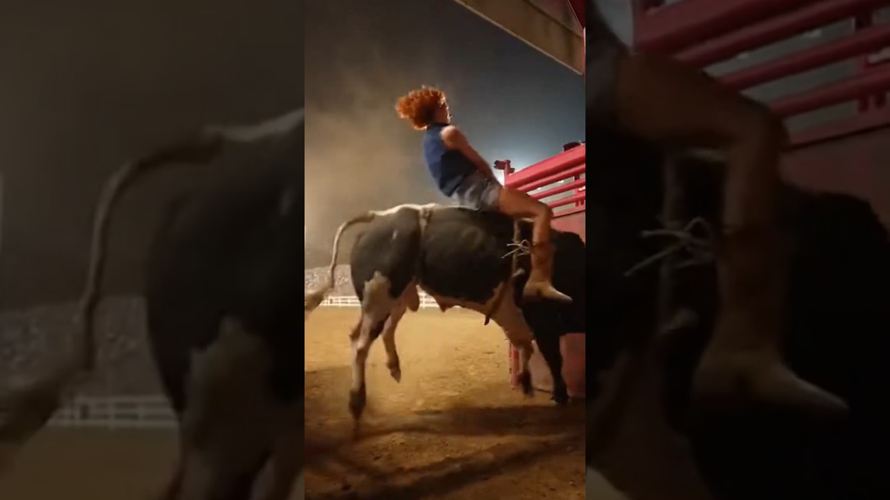 Domando al toro