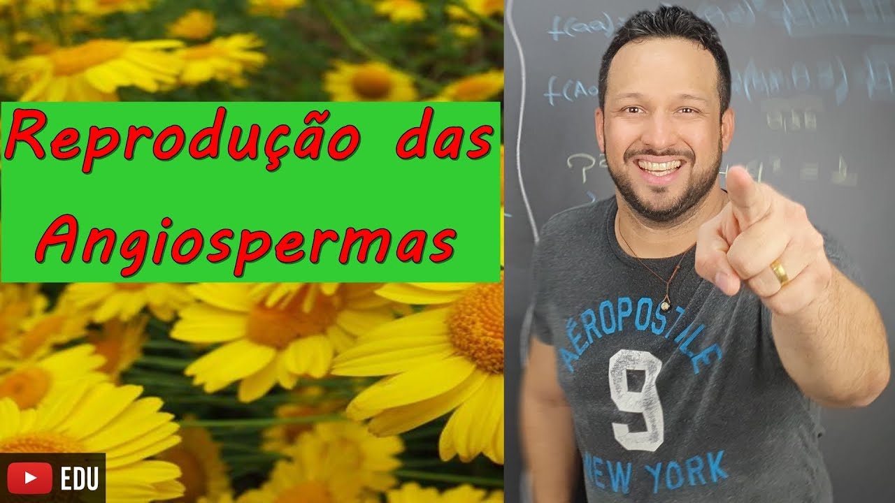 Reprodução das Angiospermas - Botânica - Biologia com o Tubarão