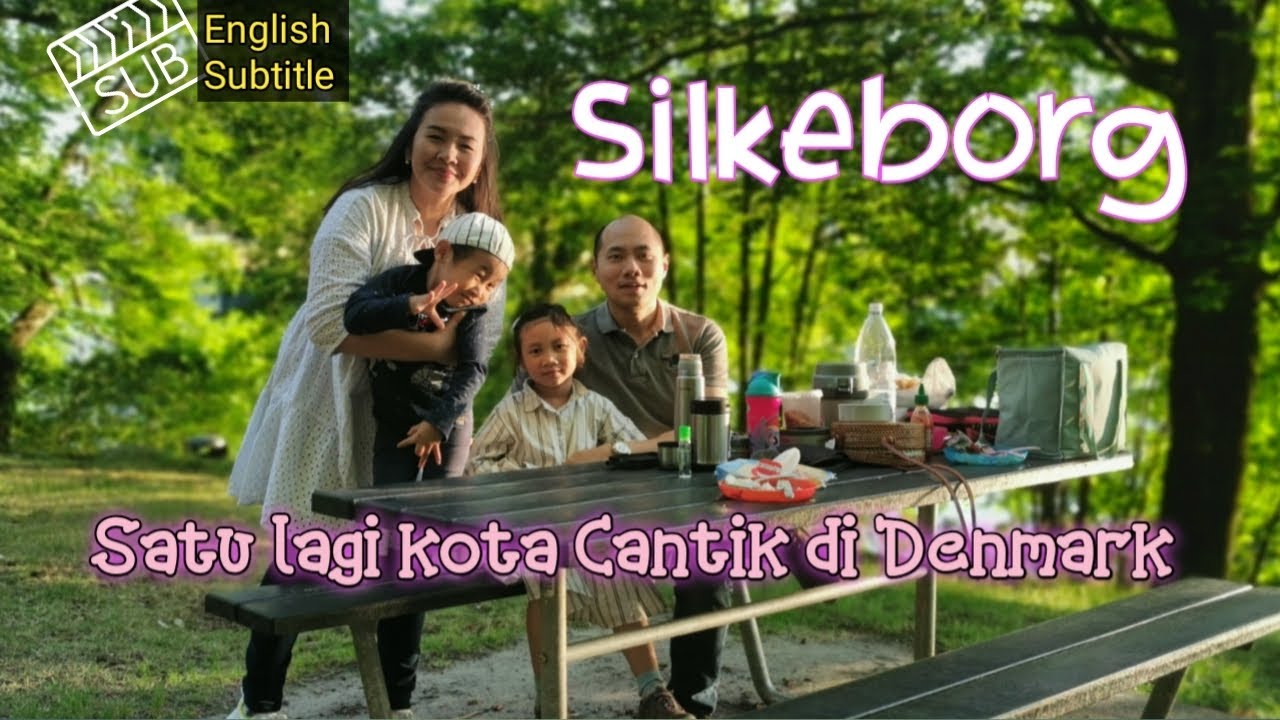 TRIP TO SILKEBORG 🏞️ , ANOTHER BEAUTIFUL CITY IN DENMARK 🇩🇰