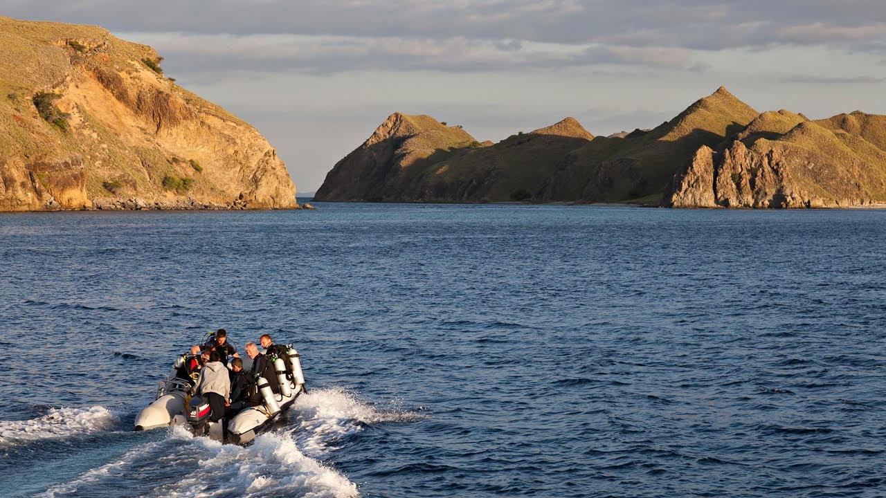 Croisière plongée à Komodo en Indonésie avec Indo Master