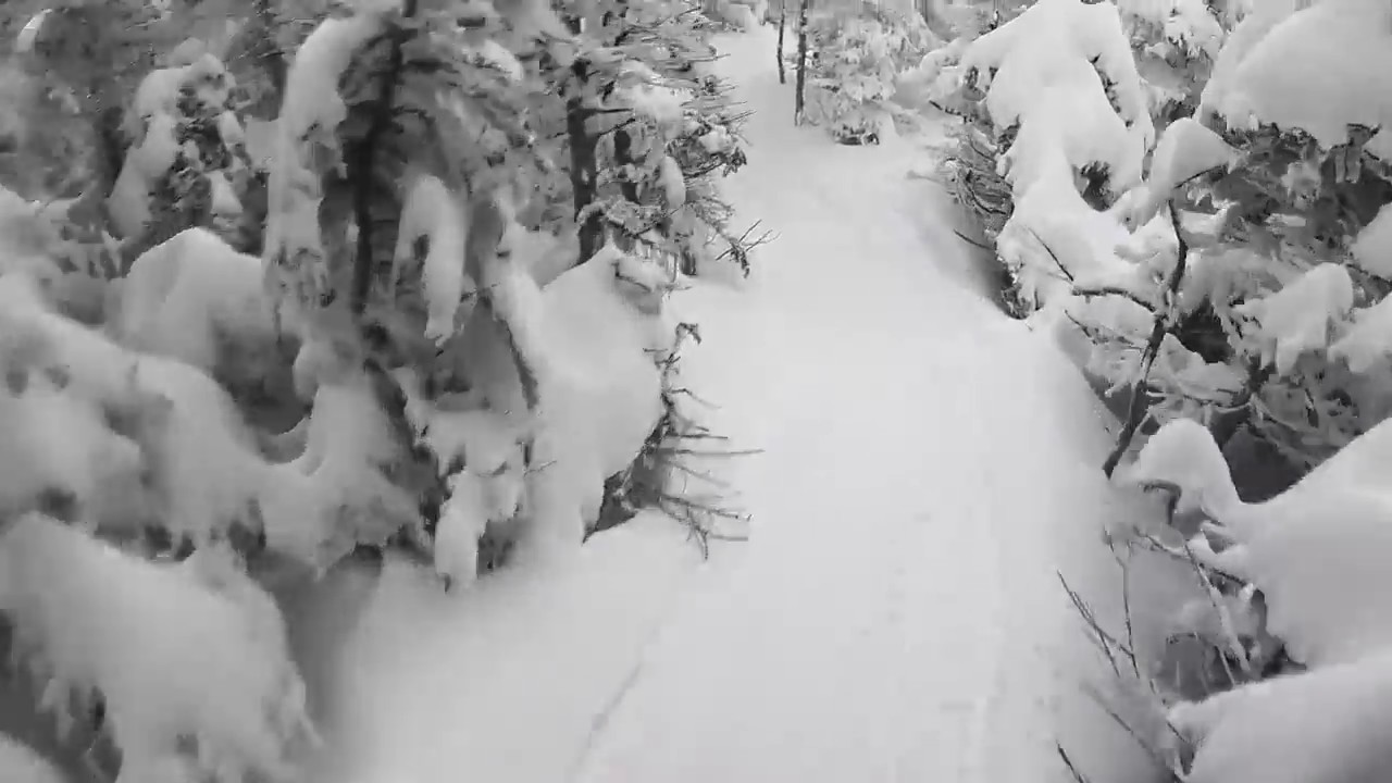 Taming Cannon’s Wild Backcountry
