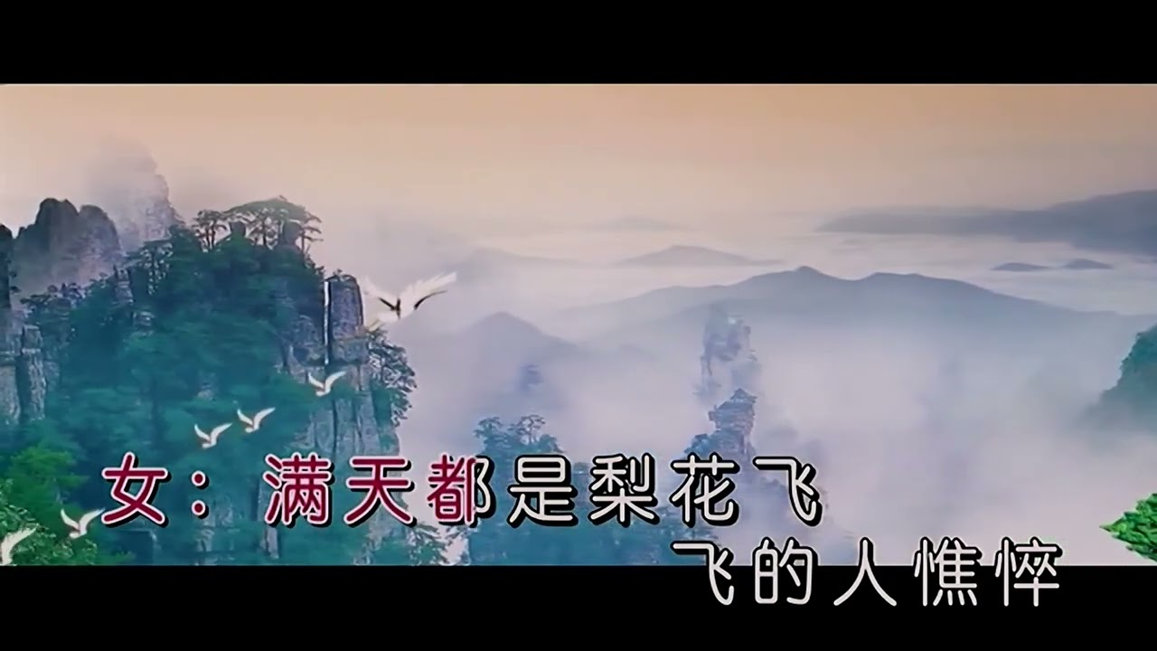 星月组合 梨花飞情人泪（右伴左唱）