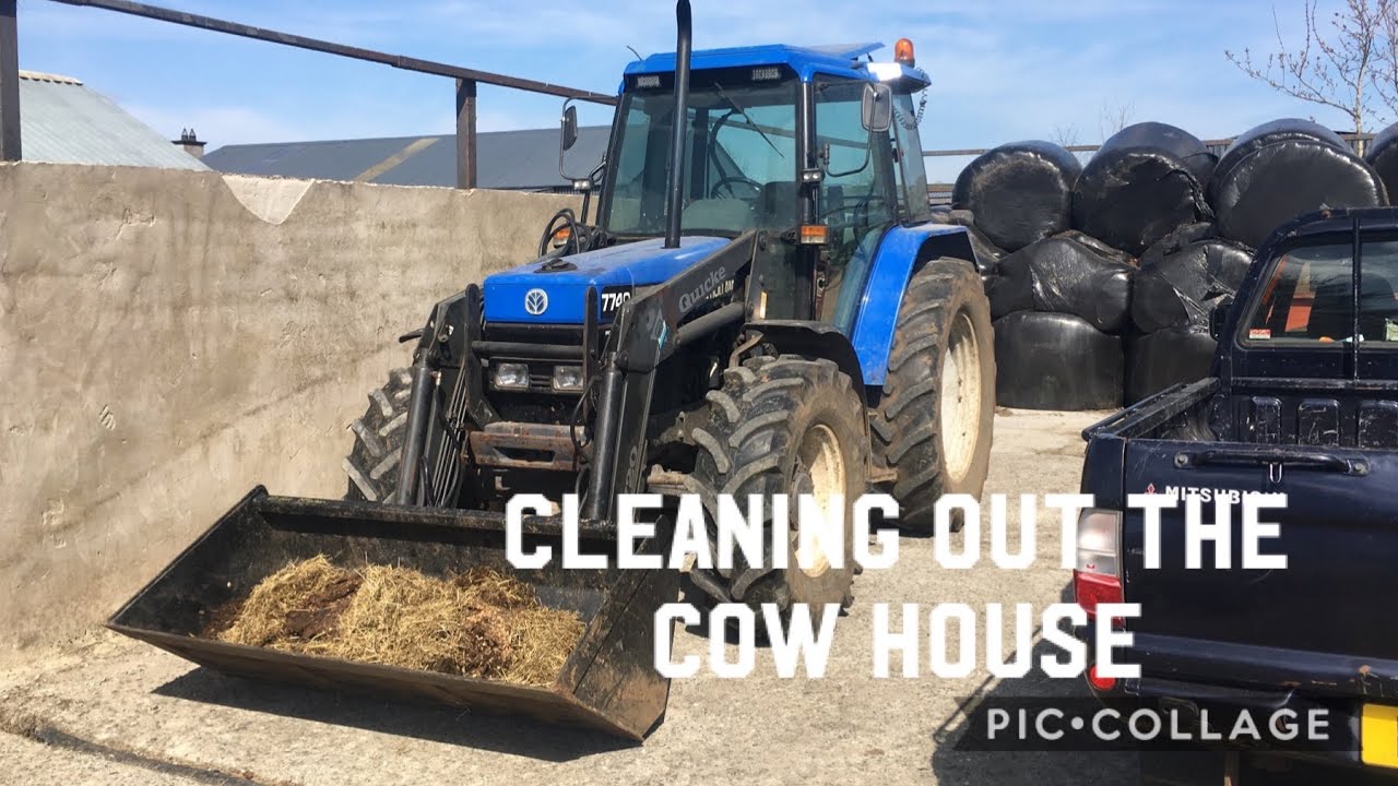 Cleaning out the calving pens/Newholland 7740