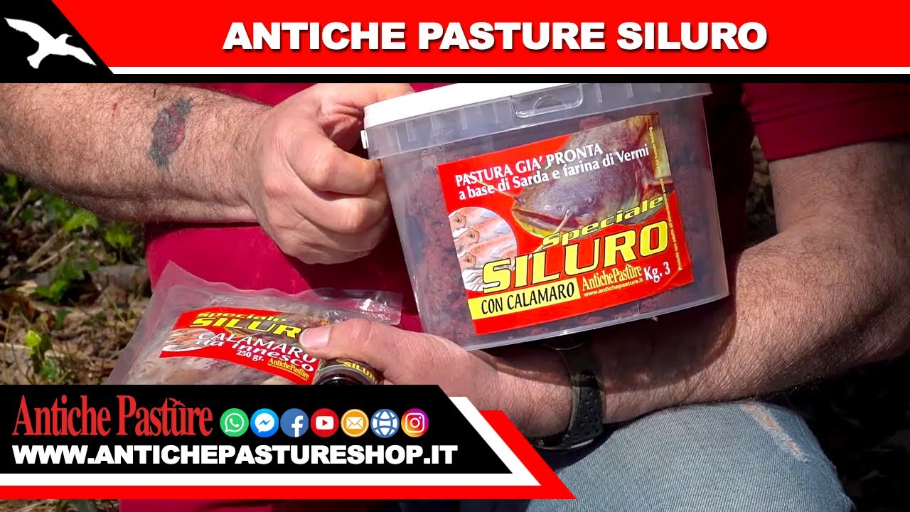 ANTICHE PASTURE - SILURO