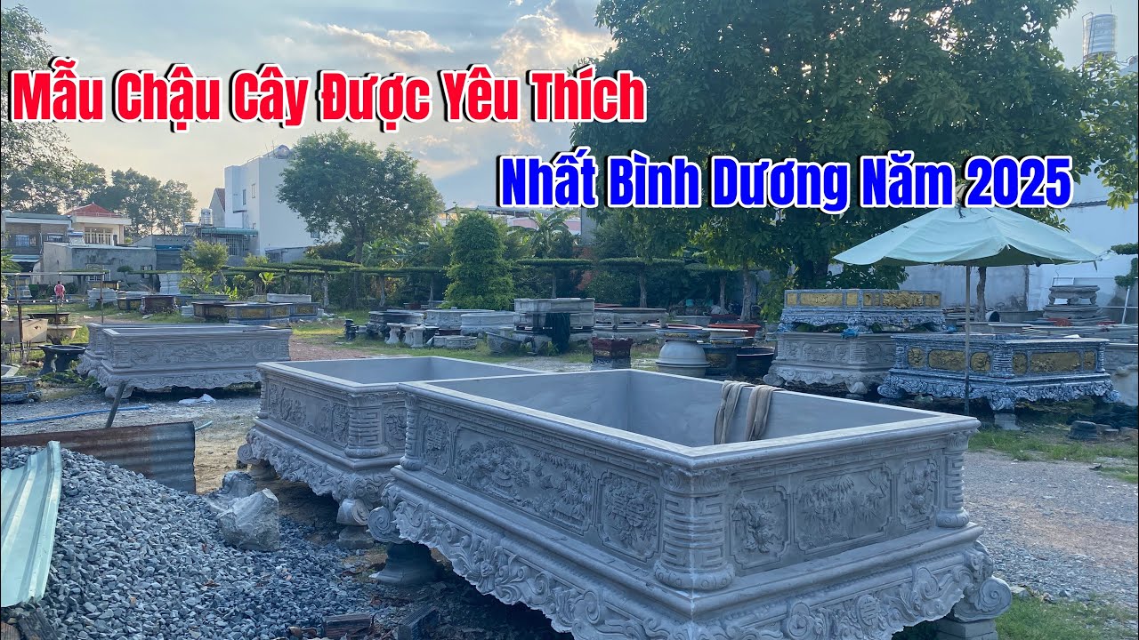 Mẫu chậu cây cảnh được yêu thích nhất Bình Dương 2025 - LH 0944353629 #chaucaycanh #chautrongcay