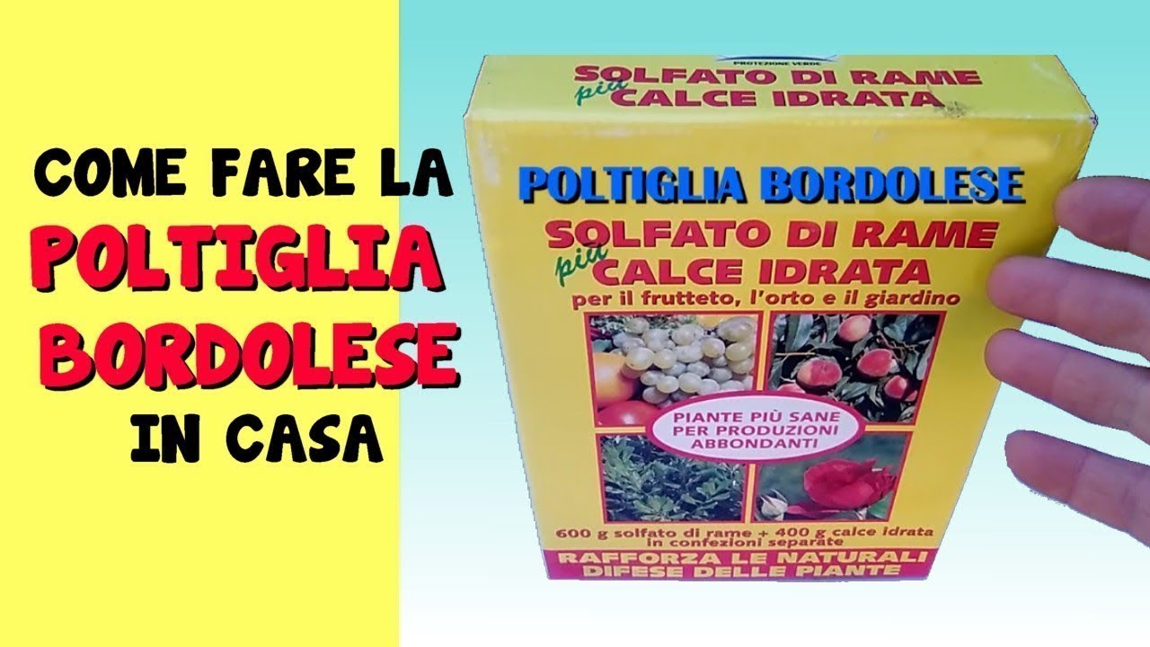 COME FARE LA POLTIGLIA BORDOLESE ACIDA NEUTRA BASICA