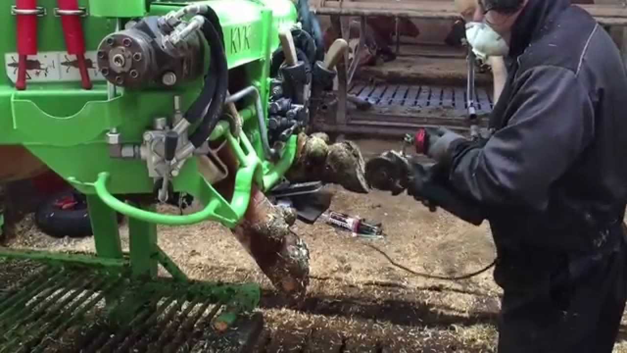 Kvk-800 hoof trimming in Finland/ sorkkahoito