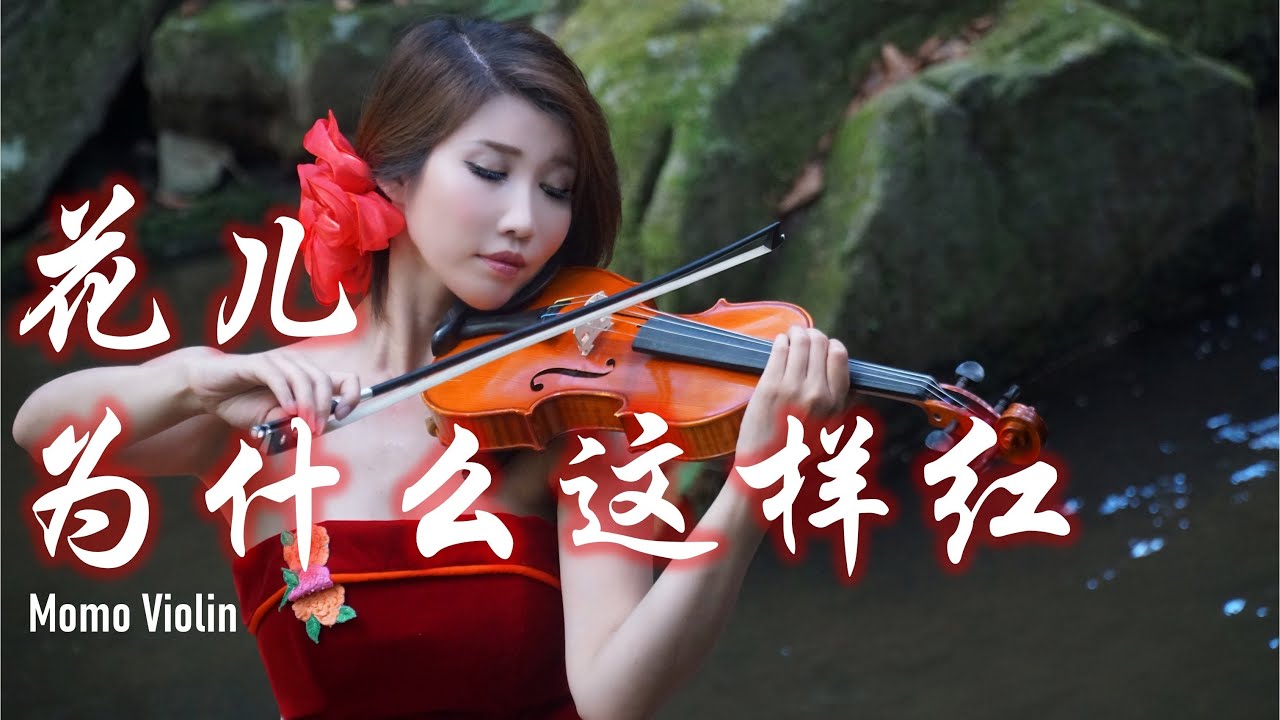 花兒為什麼這樣紅 Why Are The Flowers So Red Violin 小提琴 Momo