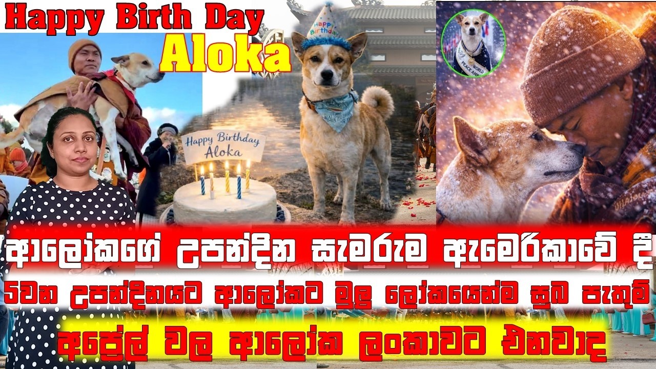 ආලෝකගේ උපන්දිනයට මුලු ලෝකයෙන්ම සුබ පැතුම්..@SandusDiary91