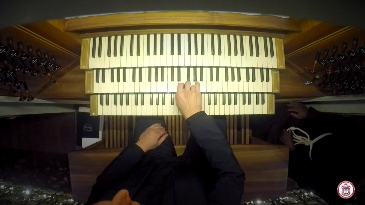 J. S. BACH, Chromatic Fantasy and Fugue BWV 903 | Levente Kuzma, Terra Sancta Organ Festival 2019