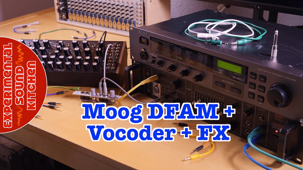 ESK - Moog DFAM + Vocoder + FX