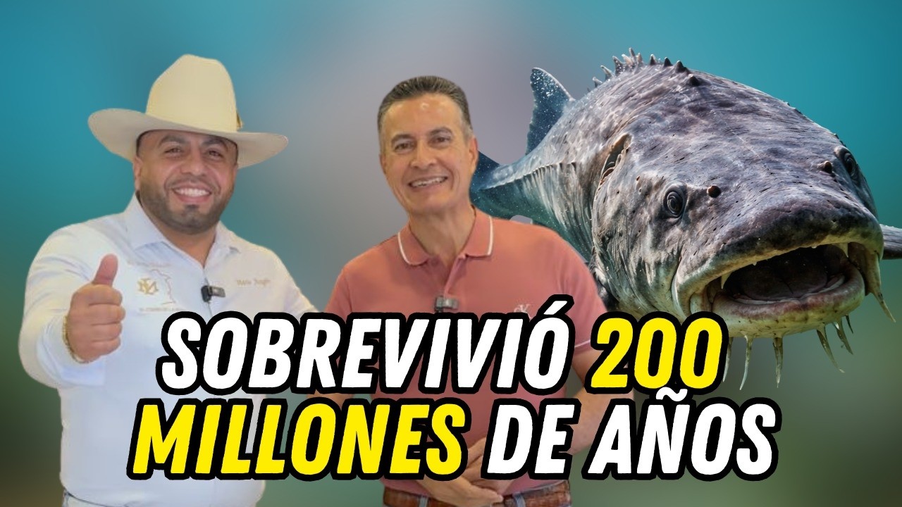 ASÍ SE VE LA PIEL DE ESTURIÓN: EL PESCADO PREHISTÓRICO AHORA CONVERTIDO EN BOTAS