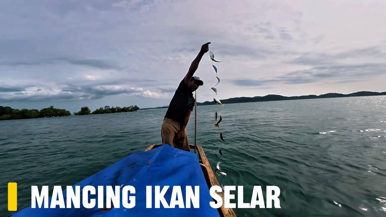 Mancing ikan selar (PART 2).