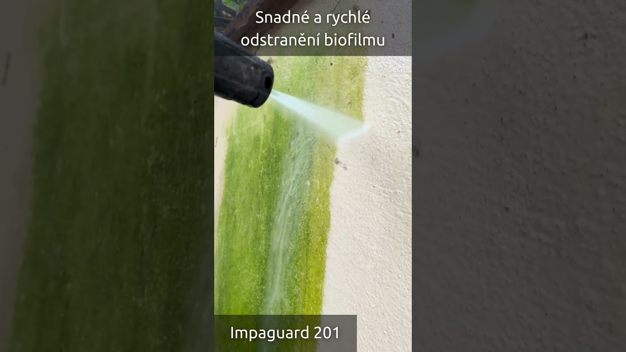 Jak vyčistit fasádu a střechu svépomocí rychle a účinně? Videonávod