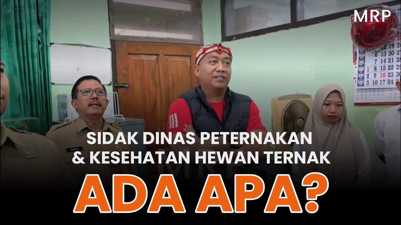Momen Mas Rio Sidak Dinas Peternakan & Kesehatan Hewan - MRP
