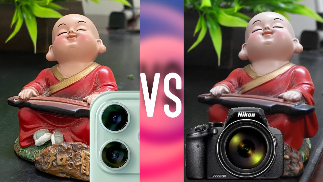 iPhone 11 VS Nikon CoolPix P900 | Camera Comparison | 83x Zoom Madness!!! | iHelper