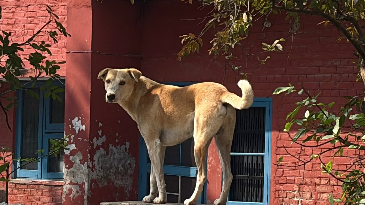 Sachme kabhi kabar life Asliyat sikha deti hai….