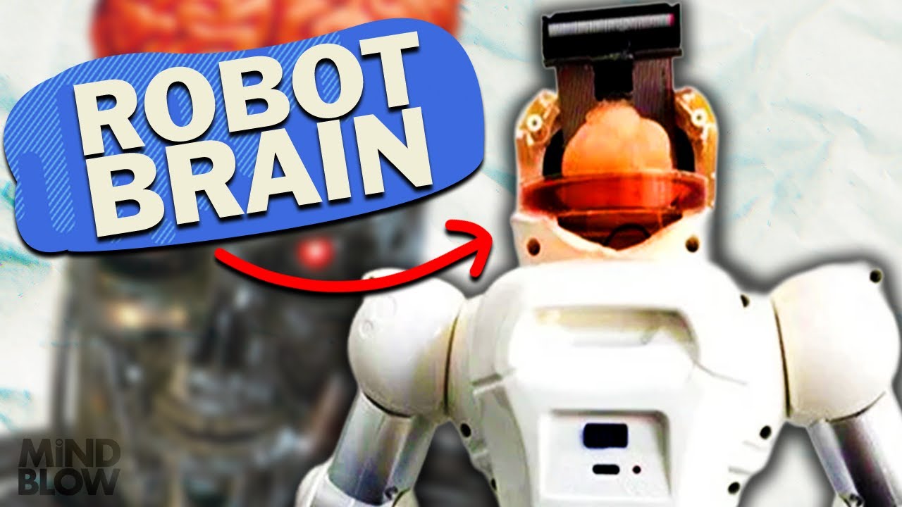 Robot with Real Brain? - Mind Blow #143