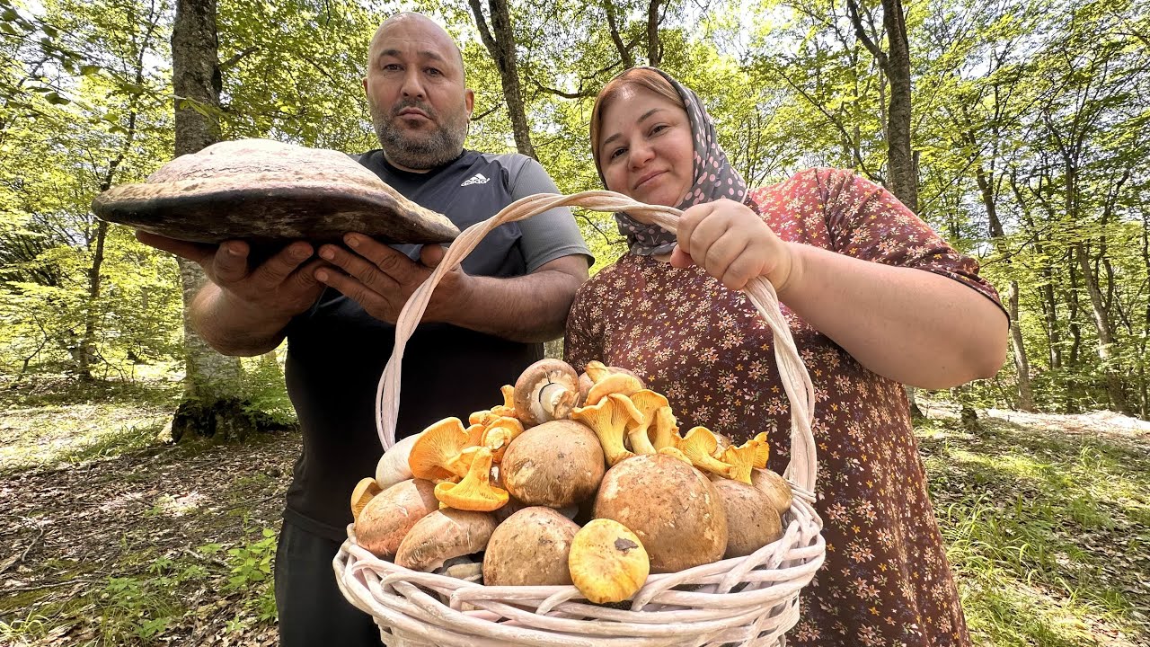 Сковорода Невероятного Блюдо В ЛЕСУ! Хобби Миллионов Людей.
