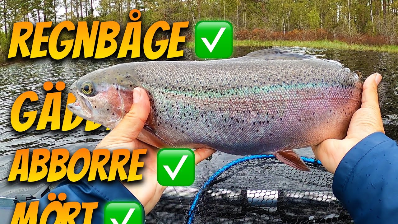Jag Fångade Varje Fisk i Sjön?! | Fiskelycka