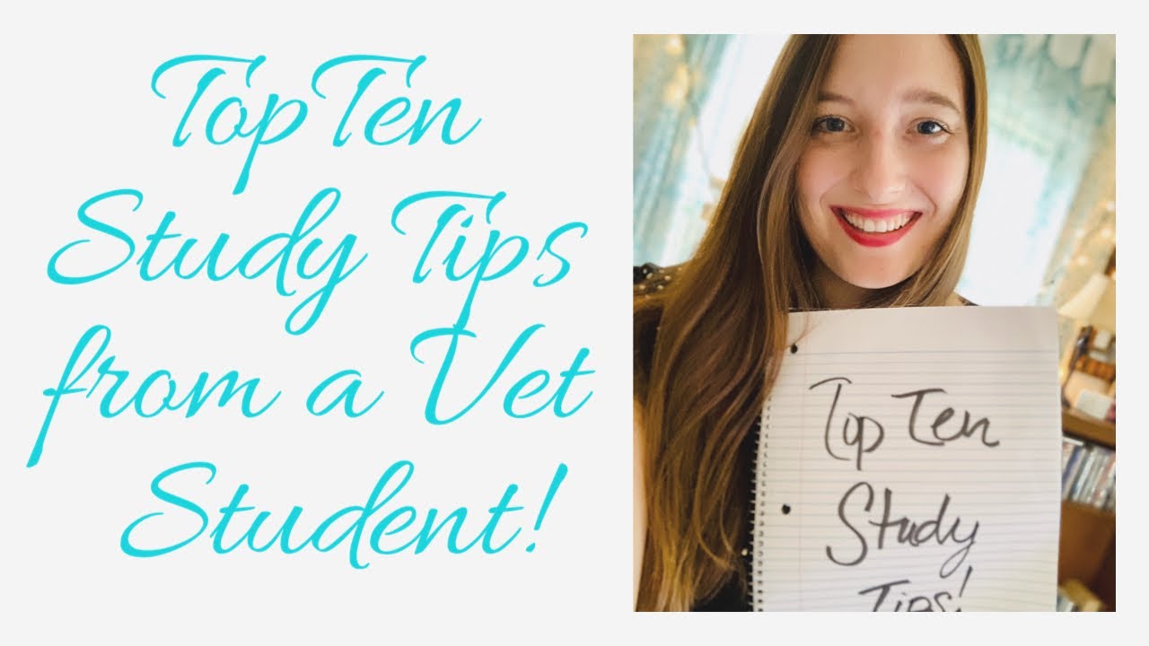 Top Ten Study Tips from a Vet Student!