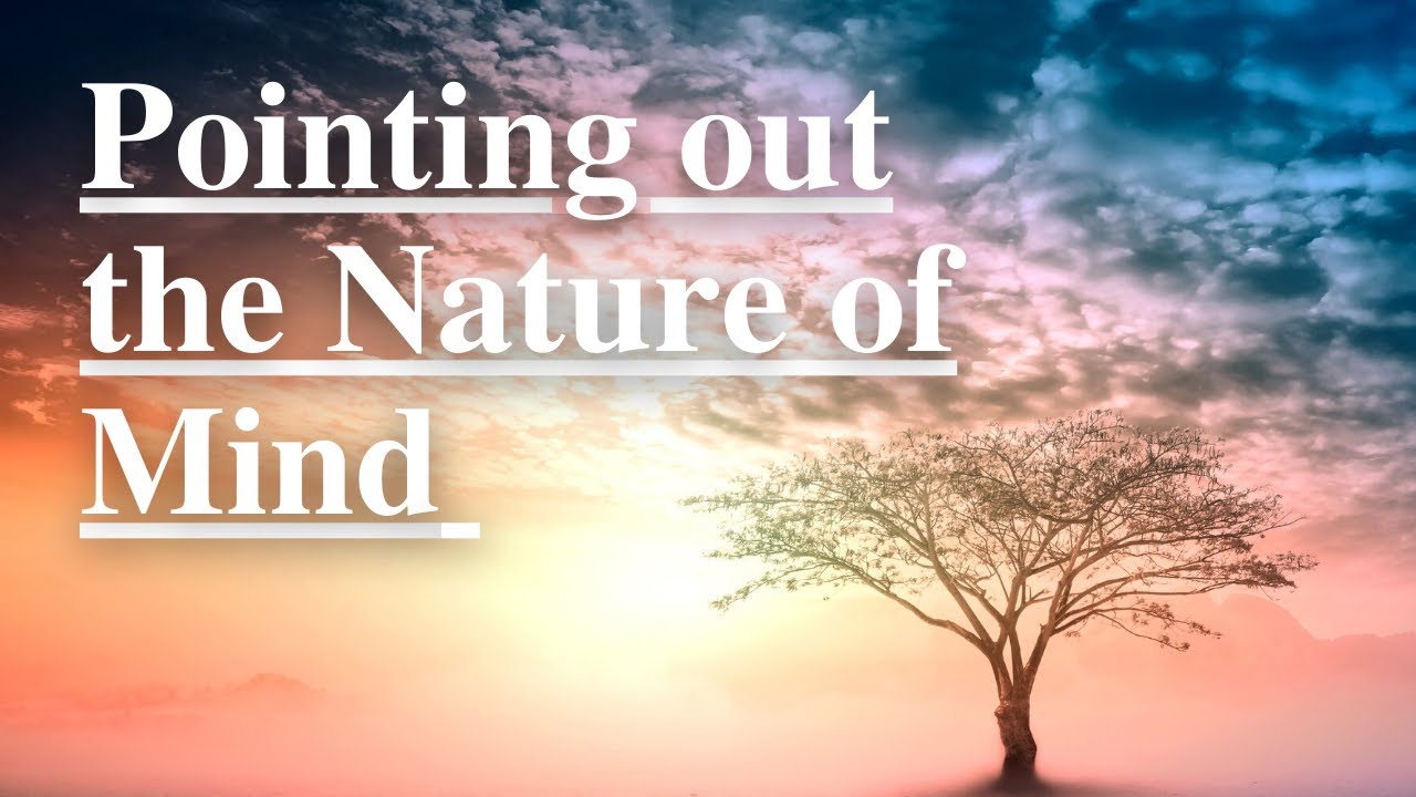 POINTING OUT INSTRUCTIONS for NON DUALITY | No Self Meditation