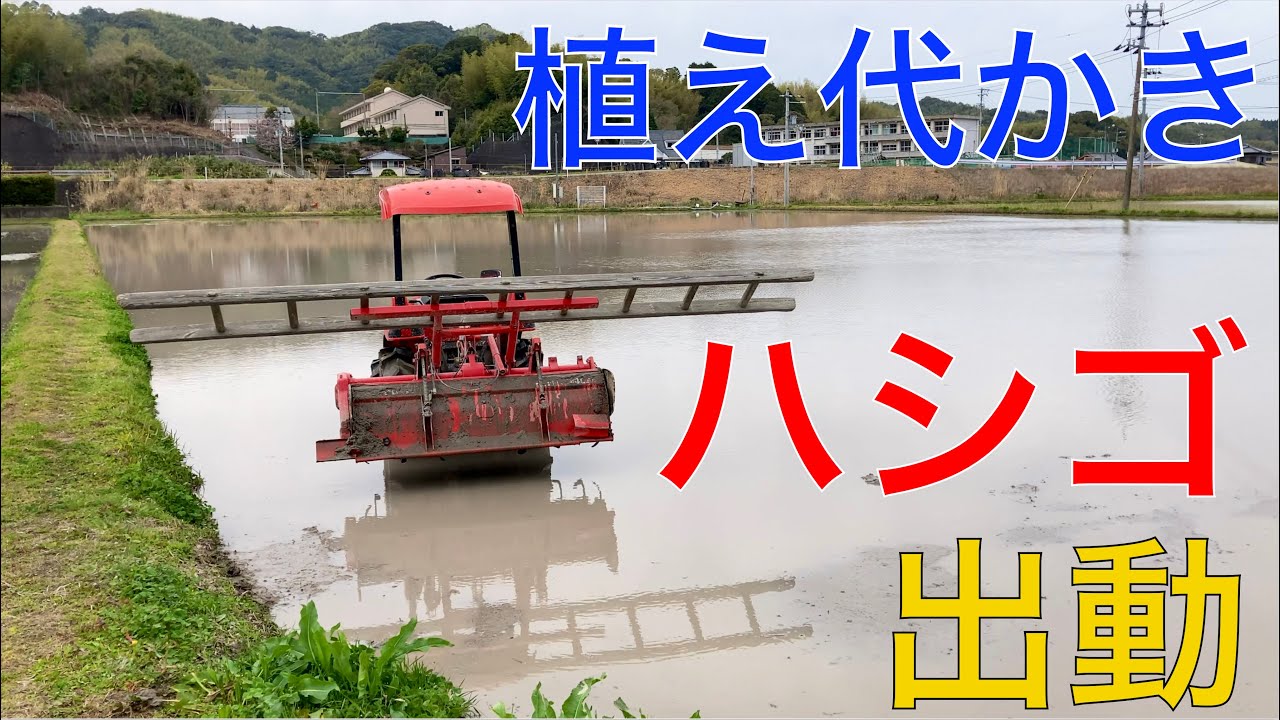 【２０２４ 米作り１０】植え代かきとハシゴで高低差を直したぞ