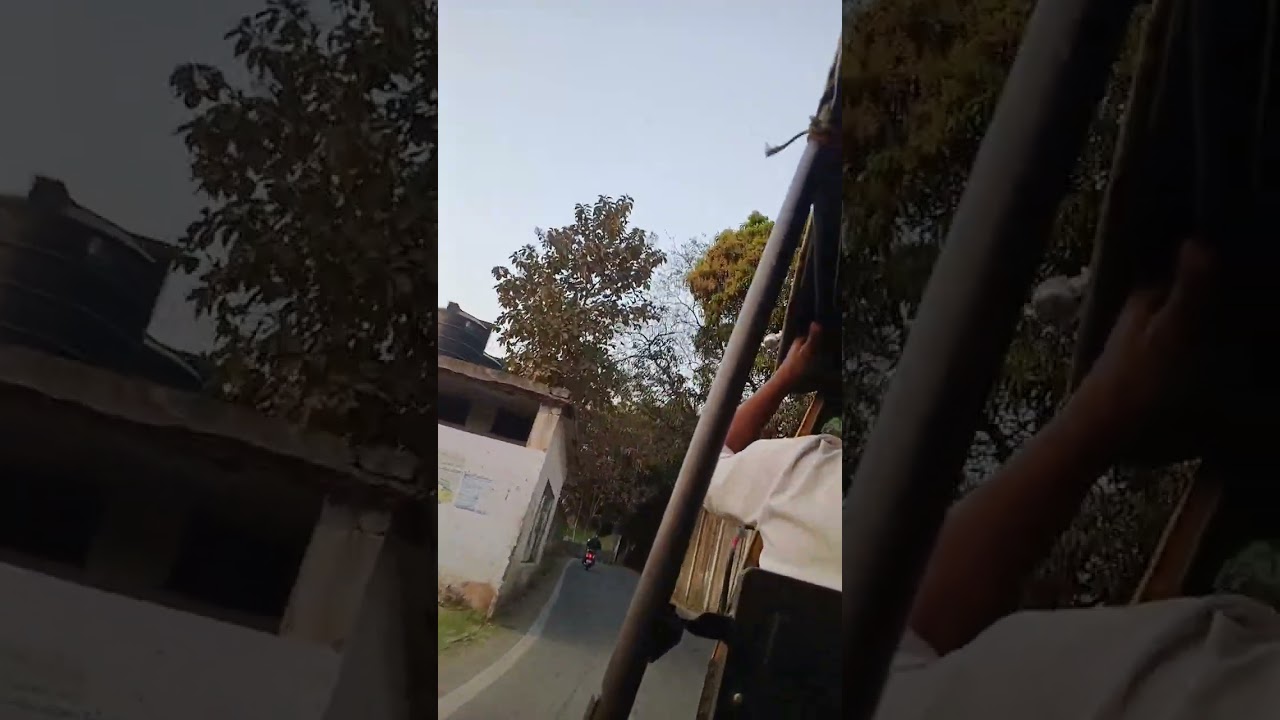 Jamshedpur Tata performance, achhi mango tiger to Krishna road.🇮🇳🇮🇳👍👍👋