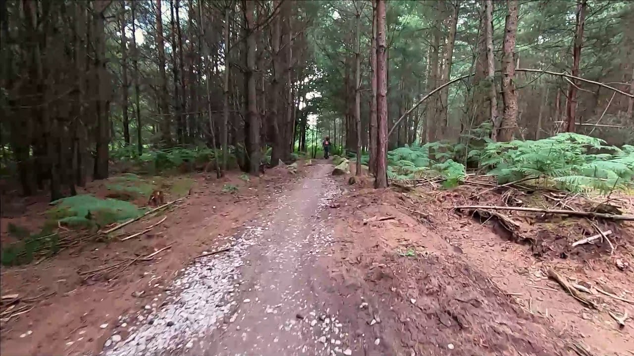 Thetford Forest Red Trail