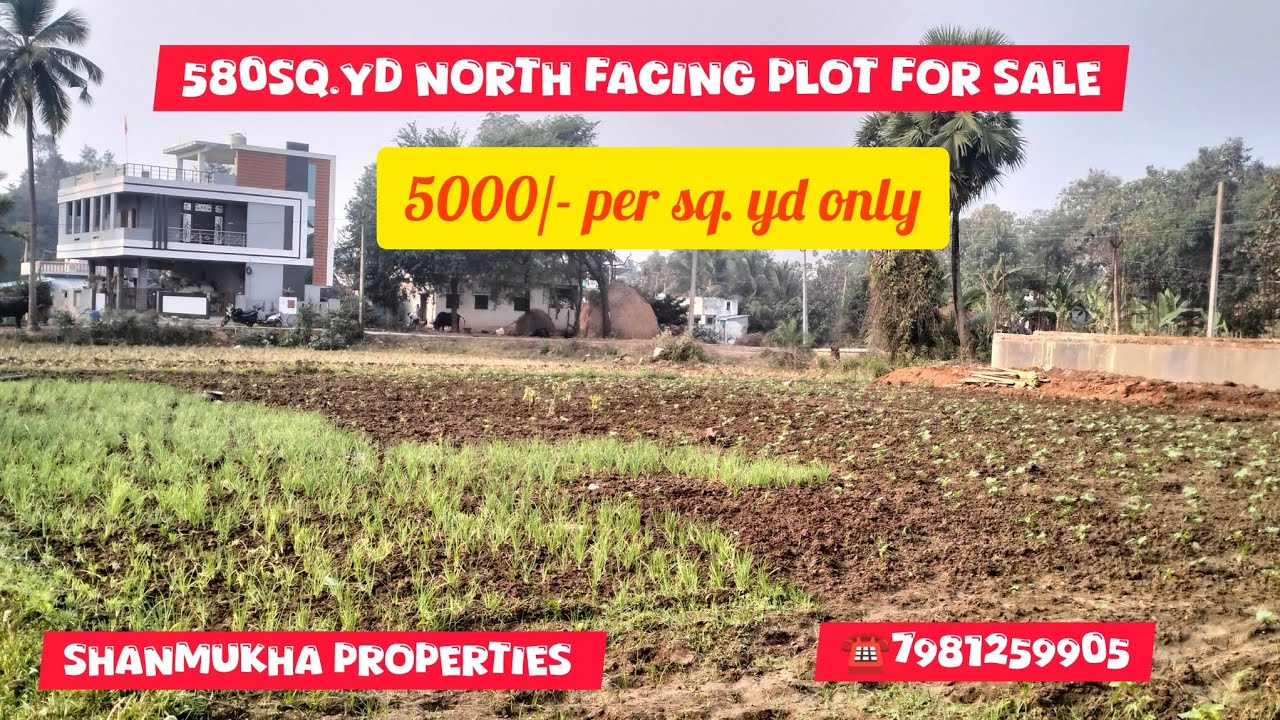 Plot for Sale Residential purpose l 12cents l 580sq.yd low price.#vizagrealestate #plotsforsale 
