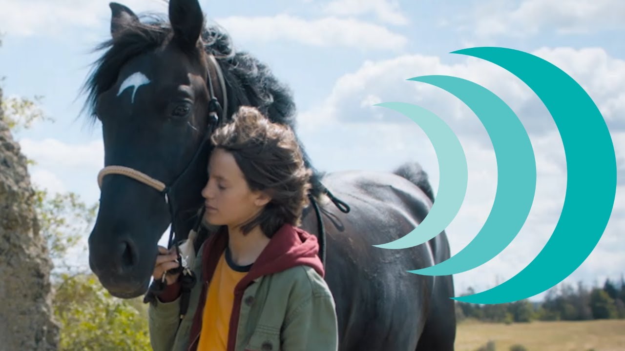 Stormwind - in zwaar weer • Vanaf 𝟏𝟏 𝐚𝐮𝐠𝐮𝐬𝐭𝐮𝐬 in de bioscoop!