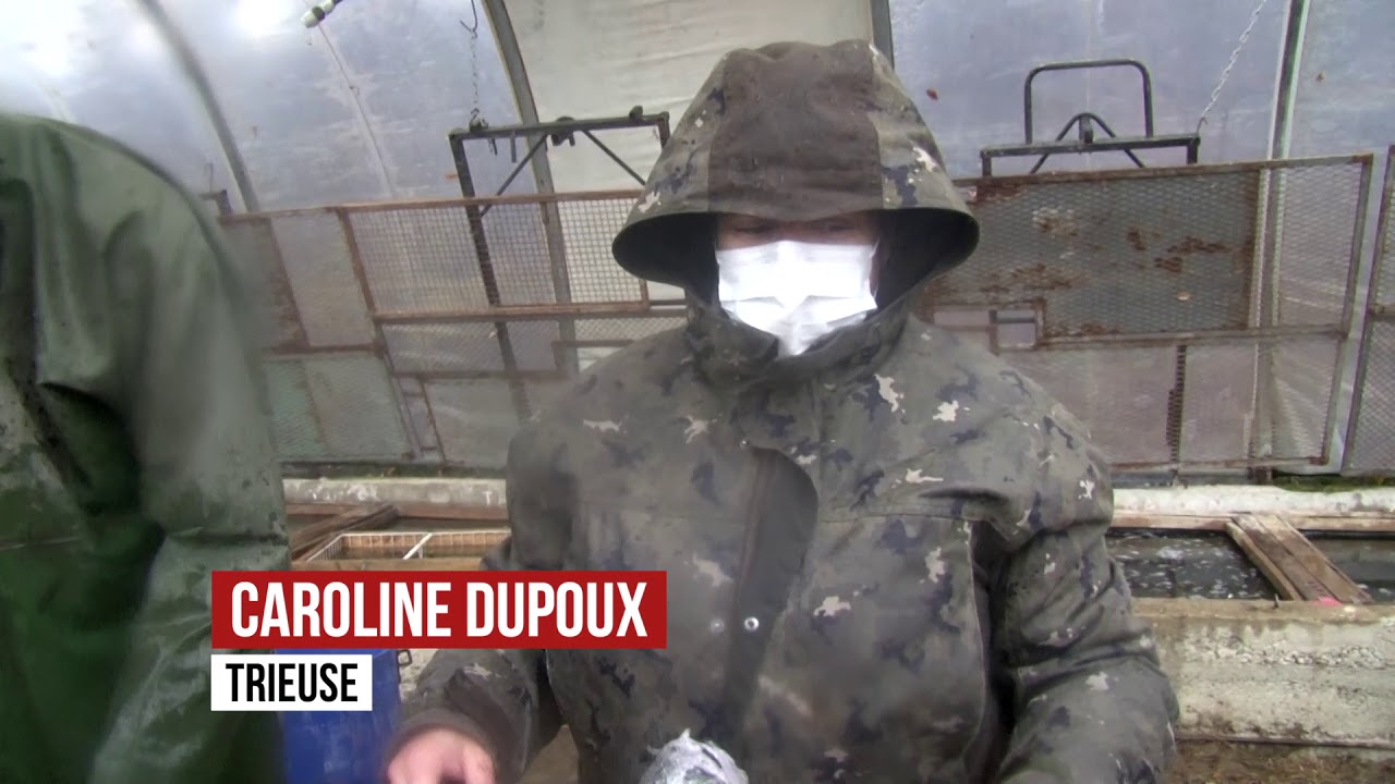 Une pêche d'étang dans la Creuse