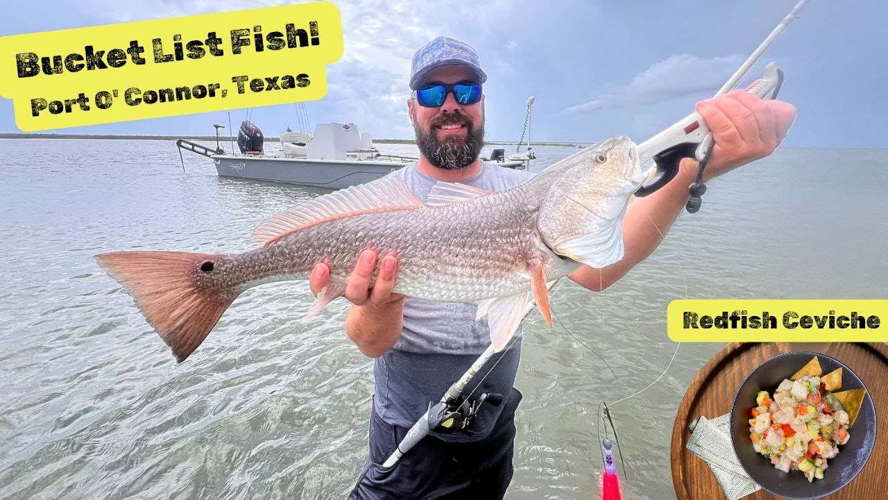Port O'connor Texas catching redfish (Catch, Clean, Cook) Chef style ceviche