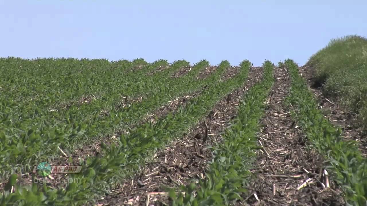 Soybean Planting #734 (Air Date 4/29/12)