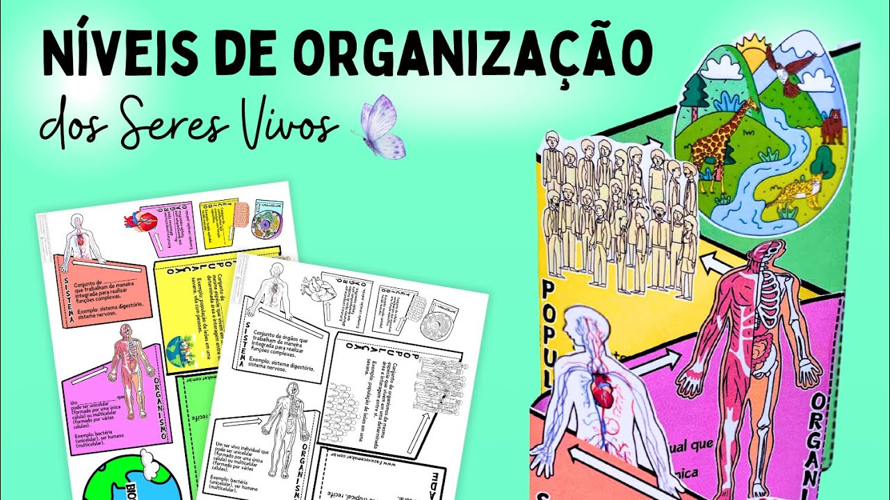 Níveis de organização dos seres vivos