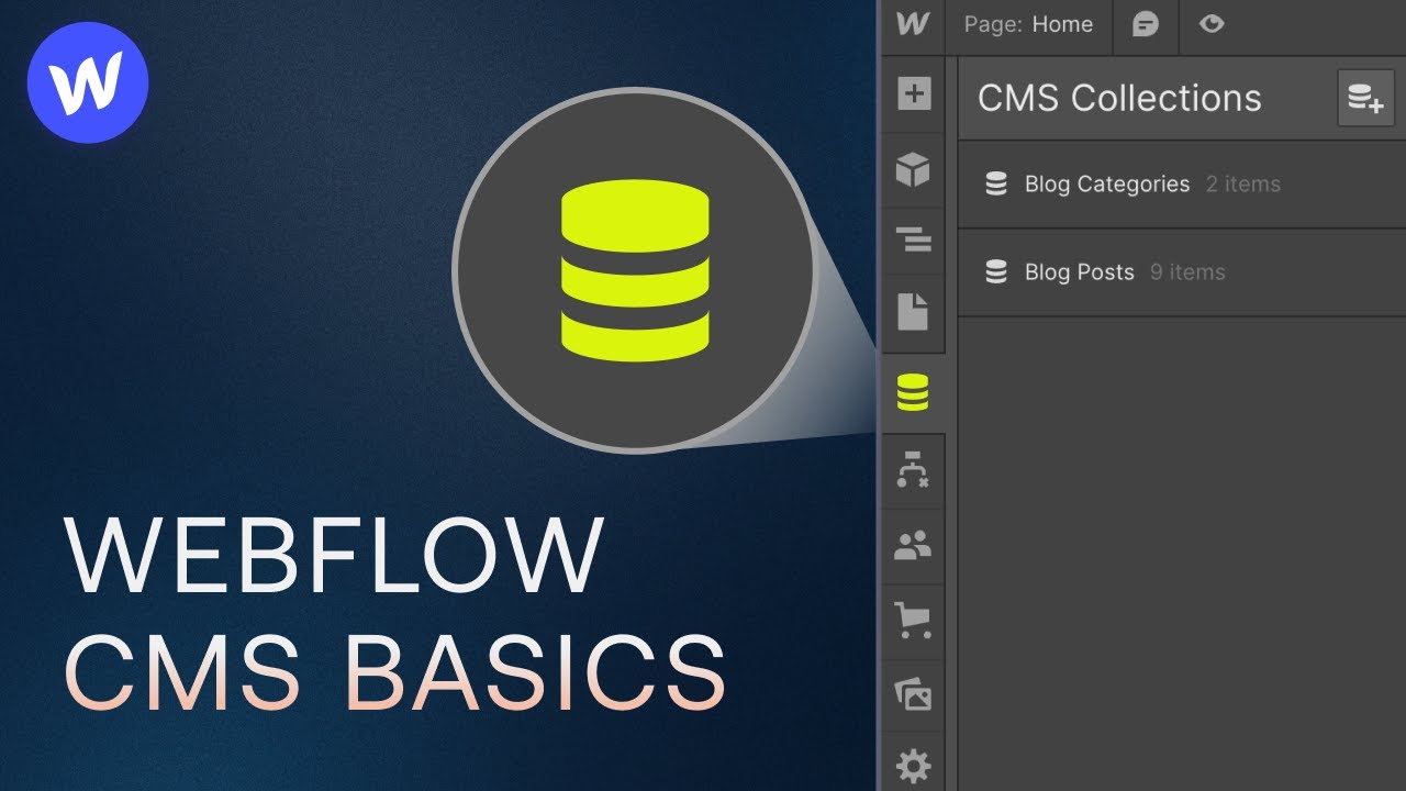 Учебное пособие по Webflow CMS для начинающих