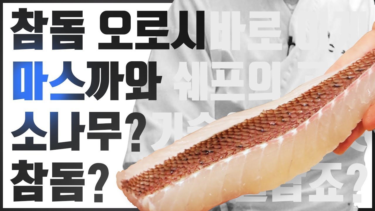 생선회 손질 도미편 참돔회뜨는법 오로시 마스까와  how to make sashimi