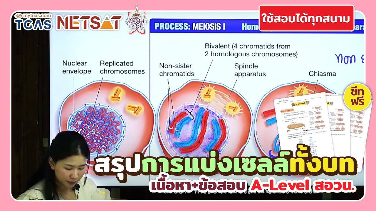 การแบ่งเซลล์ ตัวอย่างคอร์สชีวะฉบับเอาตัวรอด ICU ชีวะครูฝ้าย : คอร์สชีวะรวบรัดที่สุด พร้อมสอบ