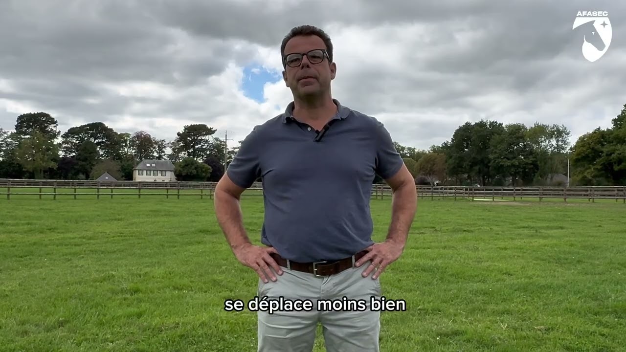 À la découverte du métier d'agent d'élevage équin avec l'AFASEC