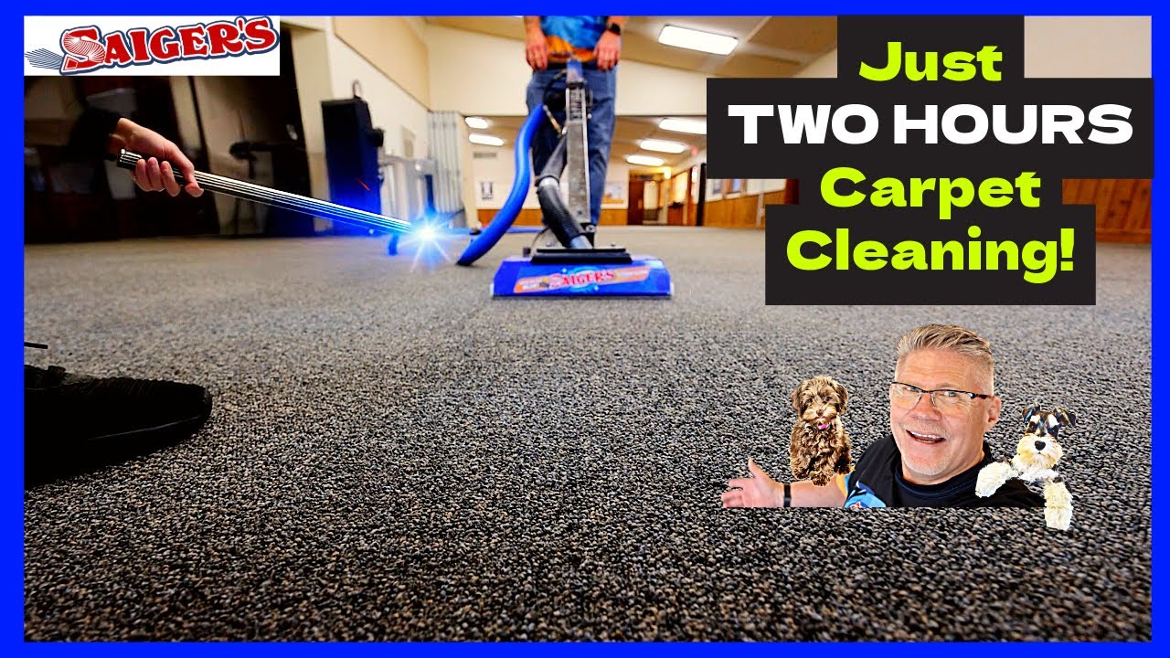 Discover the Magic: Zipper Wands Clean 3800 Sq Ft in Just 2 Hours