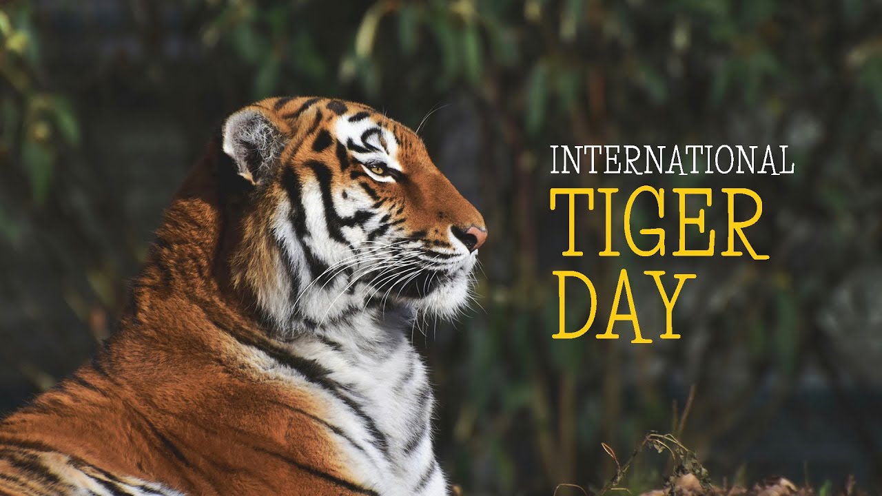 International Tiger Day 2021 | Save Tiger