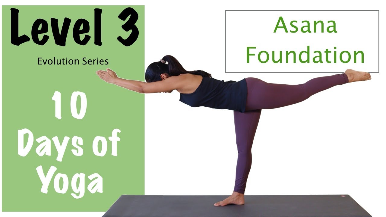 Level 3 - Yoga For Beginners - Asana Foundation - Evolution Series - Yogbela