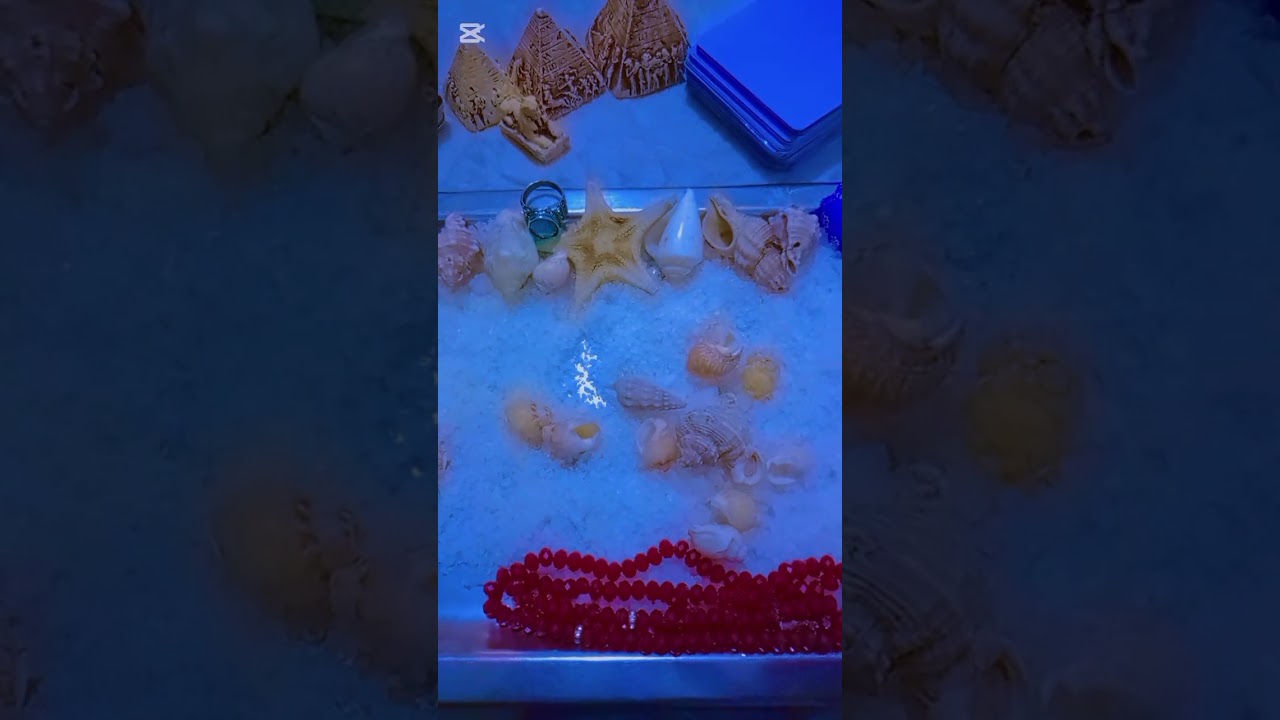 برج العقرب♏بالودع🐚قراءه استثنائيه خطيره♠️ما تكدبش احساسك لانه صح والشريك خاين وانت ما تستاهلش اللي.